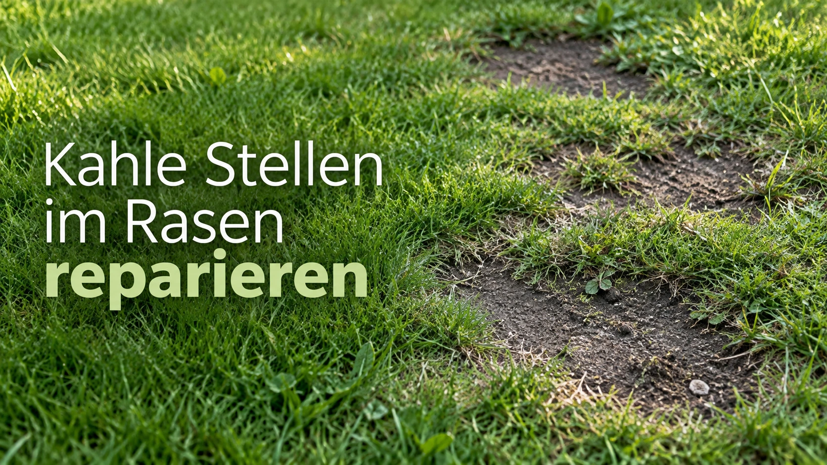Rasen mit mehreren unregelmäßigen kahlen Stellen und sichtbarer Erde