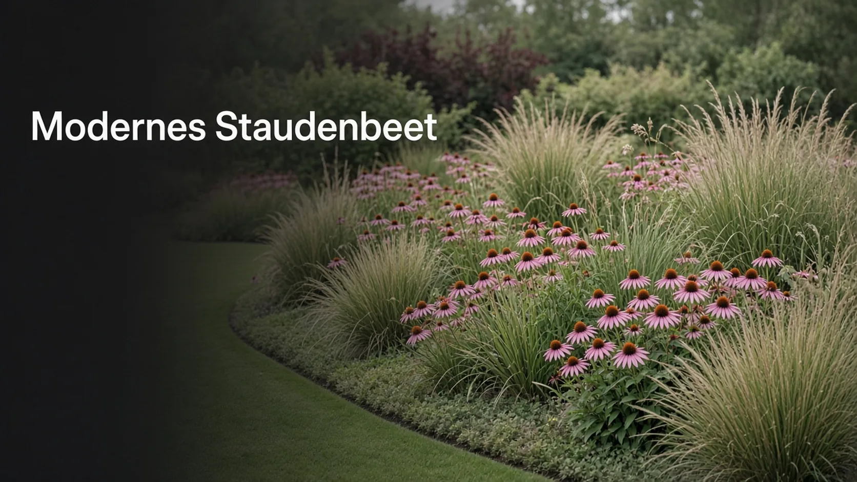 Modernes Staudenbeet mit Gräsern und Sonnenhut