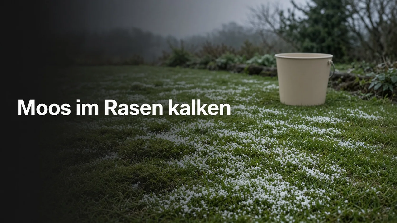 Moosiger Rasen mit Kalkstreuung