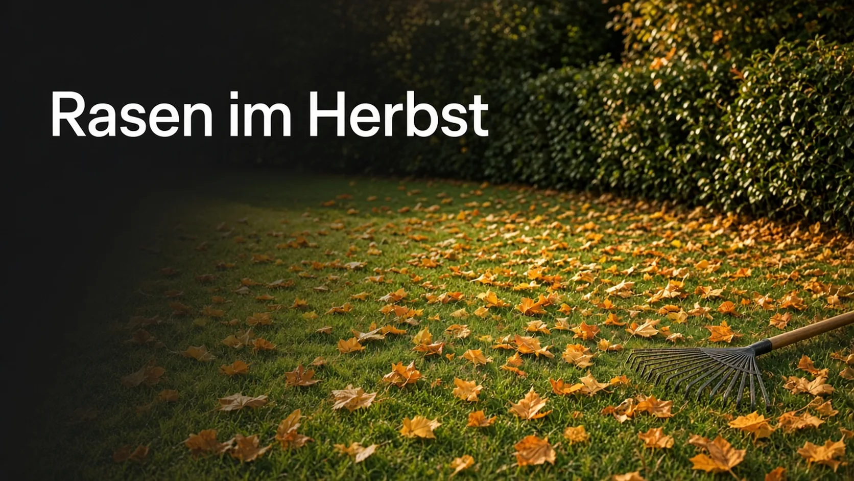 Rasen im Herbst mit Laub auf der Grasnarbe
