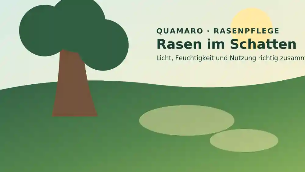 Rasen im Schatten unter einem Baum mit Sonnenflecken